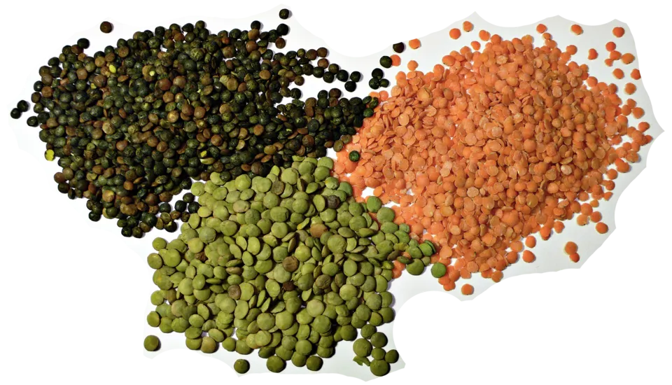Dal Tadka