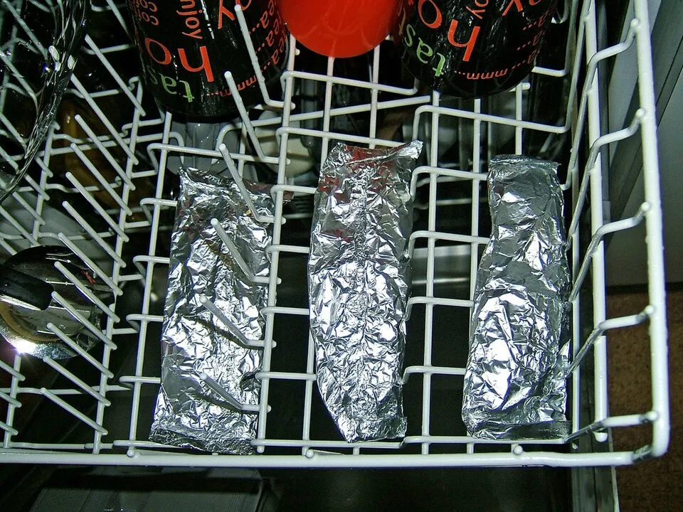 dishwasher salmon