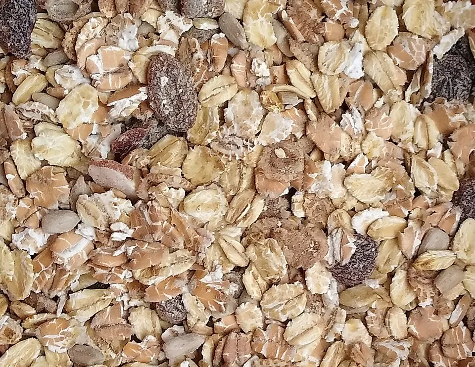 muesli