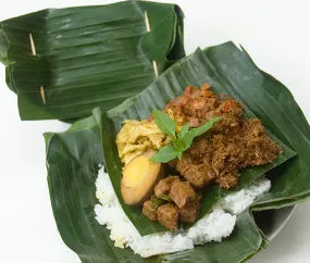 nasi bogana